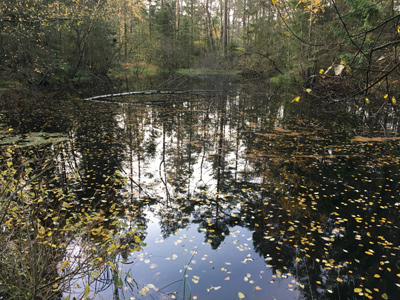 Naturkonstellationer